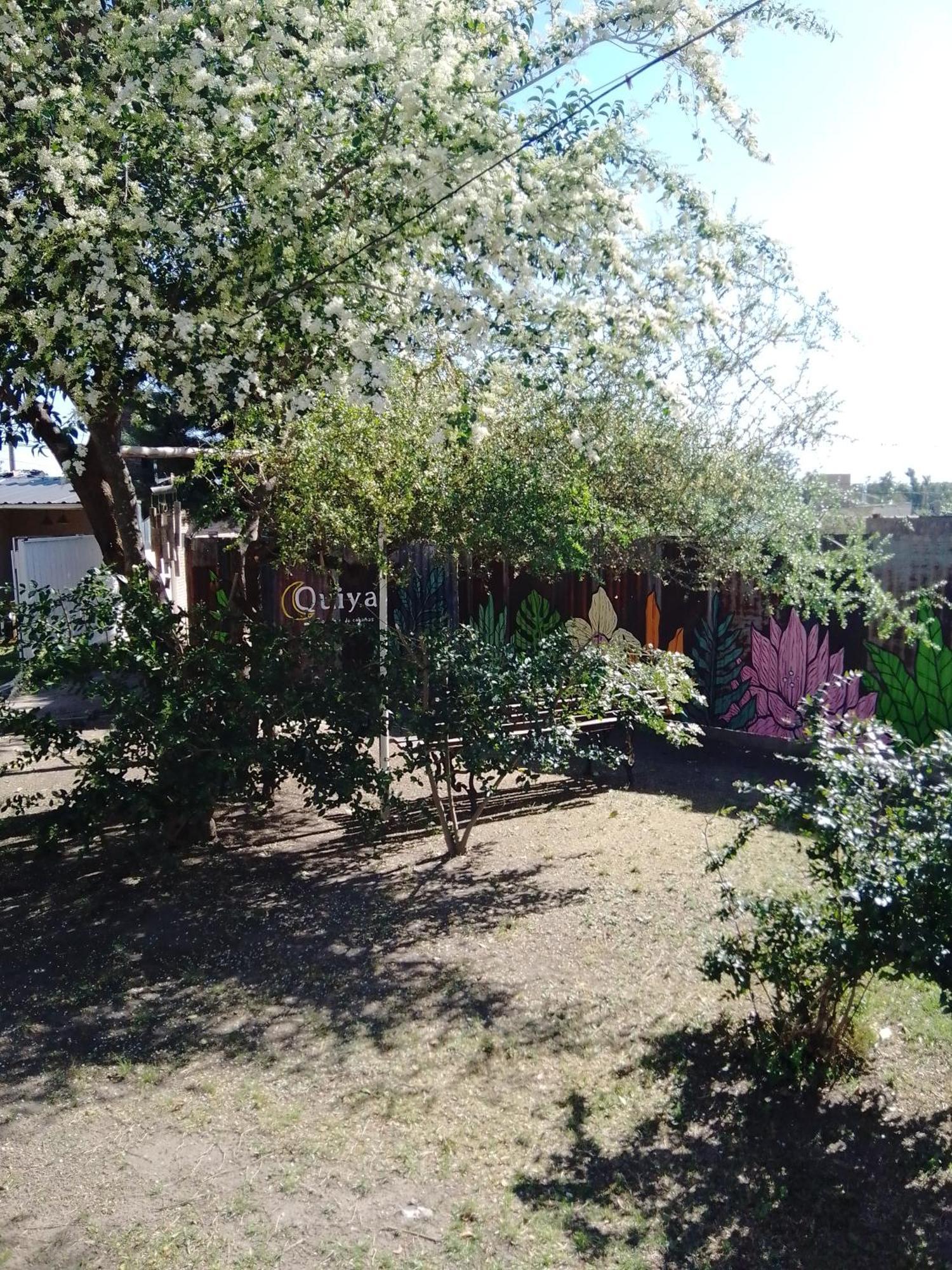 Complejo Quiya - Casa El Algarrobo Holiday home Alta Gracia
